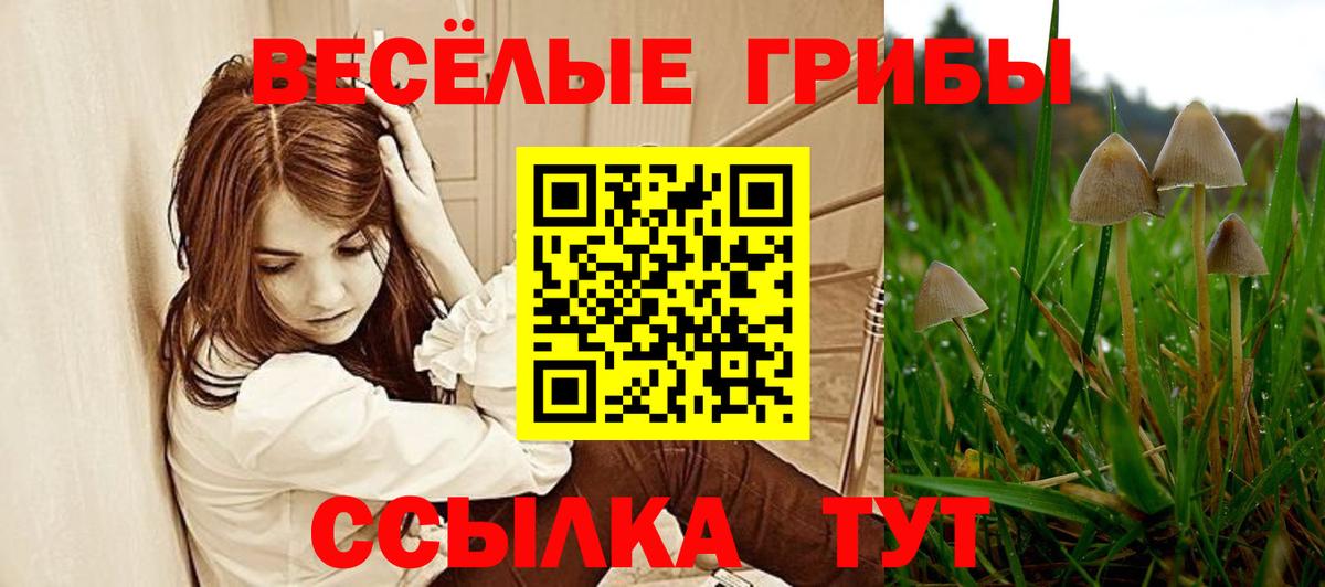 Галлюциногенные грибы MAGIC MUSHROOMS  Псилоцибиновые грибы Cubensis  Армавир  Вход с VPN 